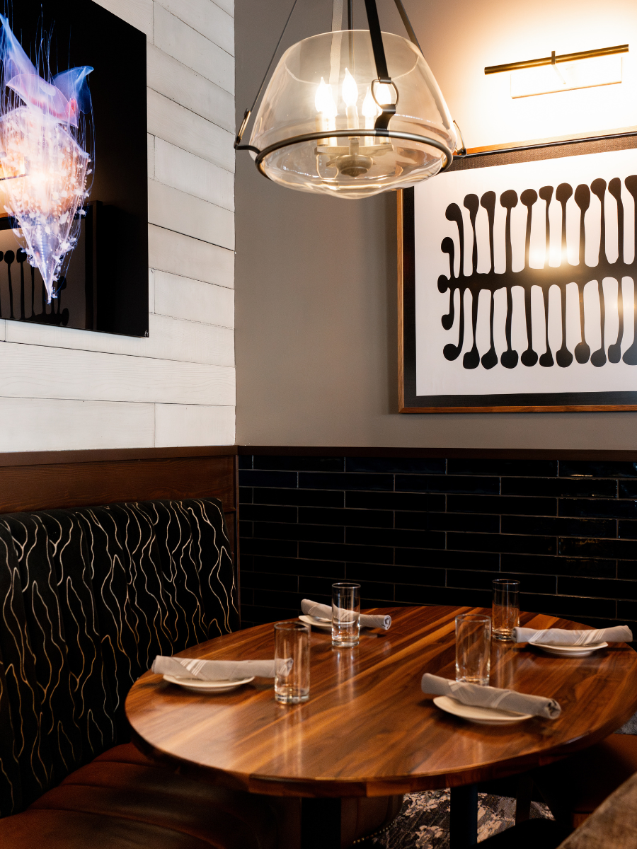 Untitled design - 2025-07-24T164406.634